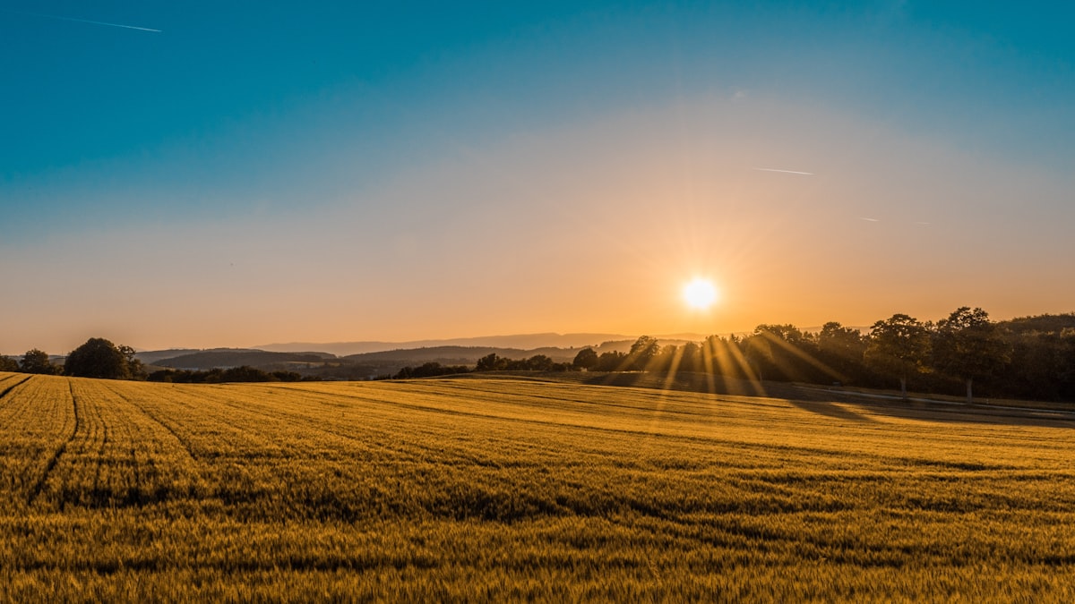 Agrotech