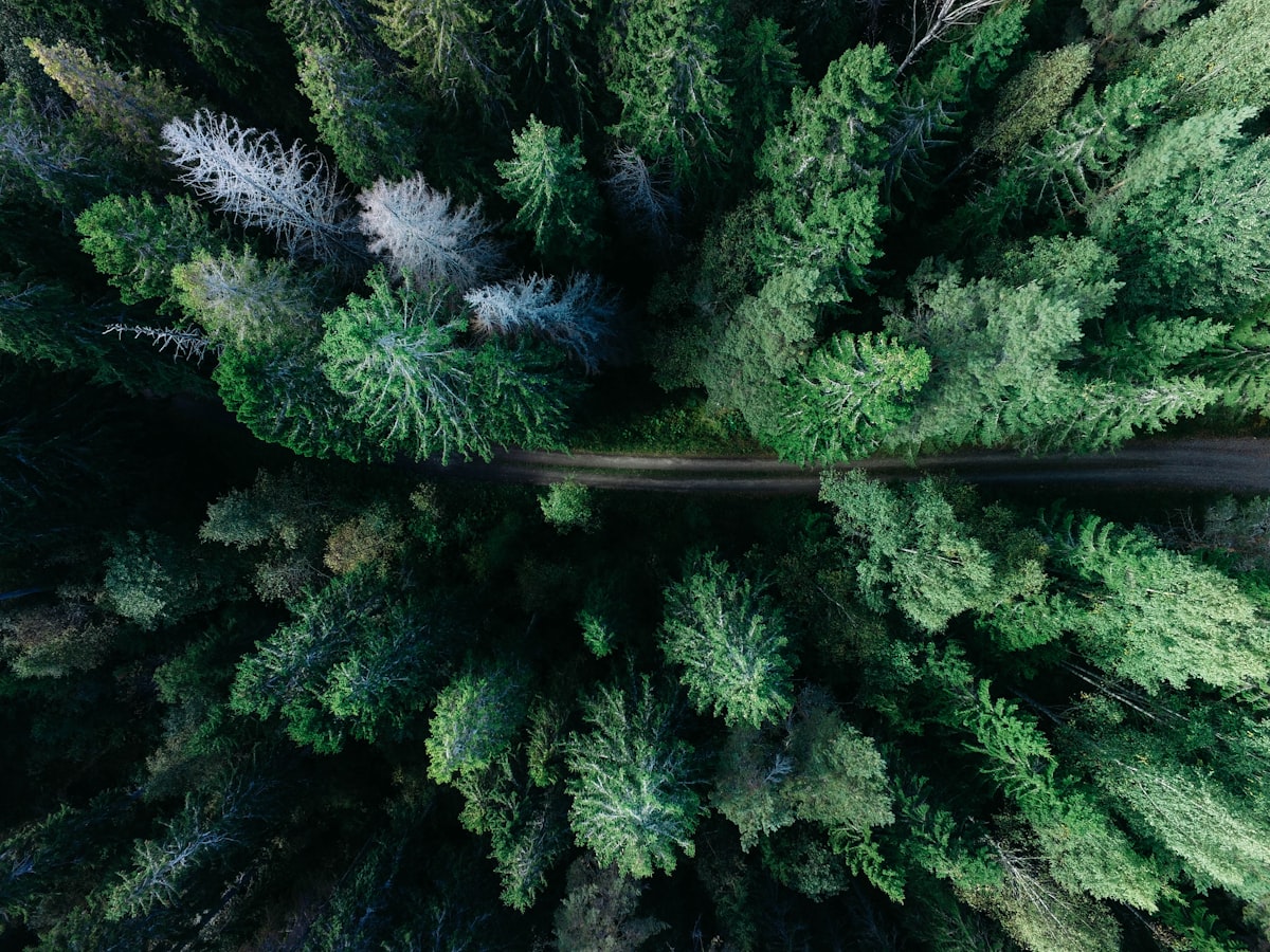 Environnemental