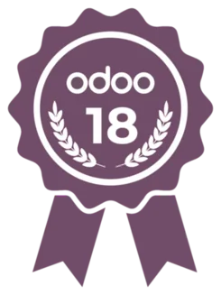 Équipe certifiée Odoo 18
