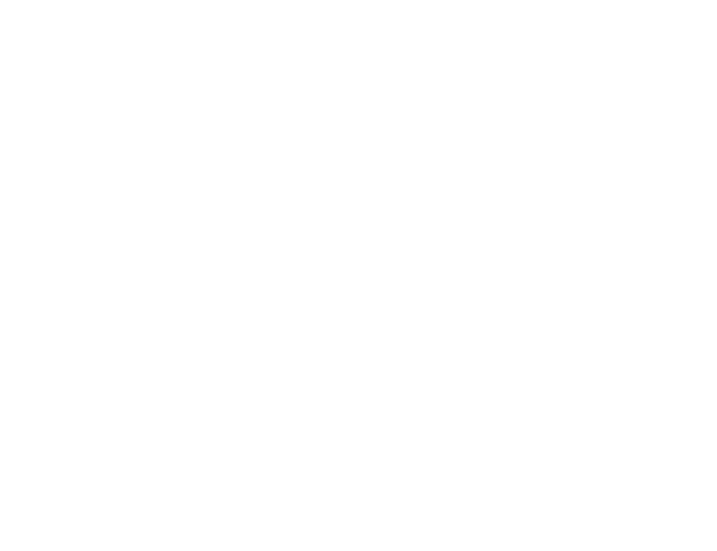 Odoo Implementation Services