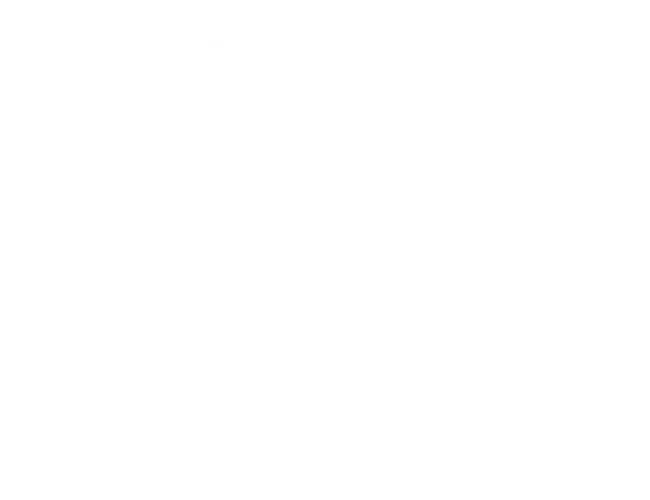 Odoo Integration Services