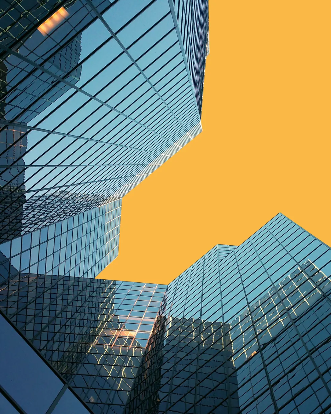 Streamlined Processes & Automation​