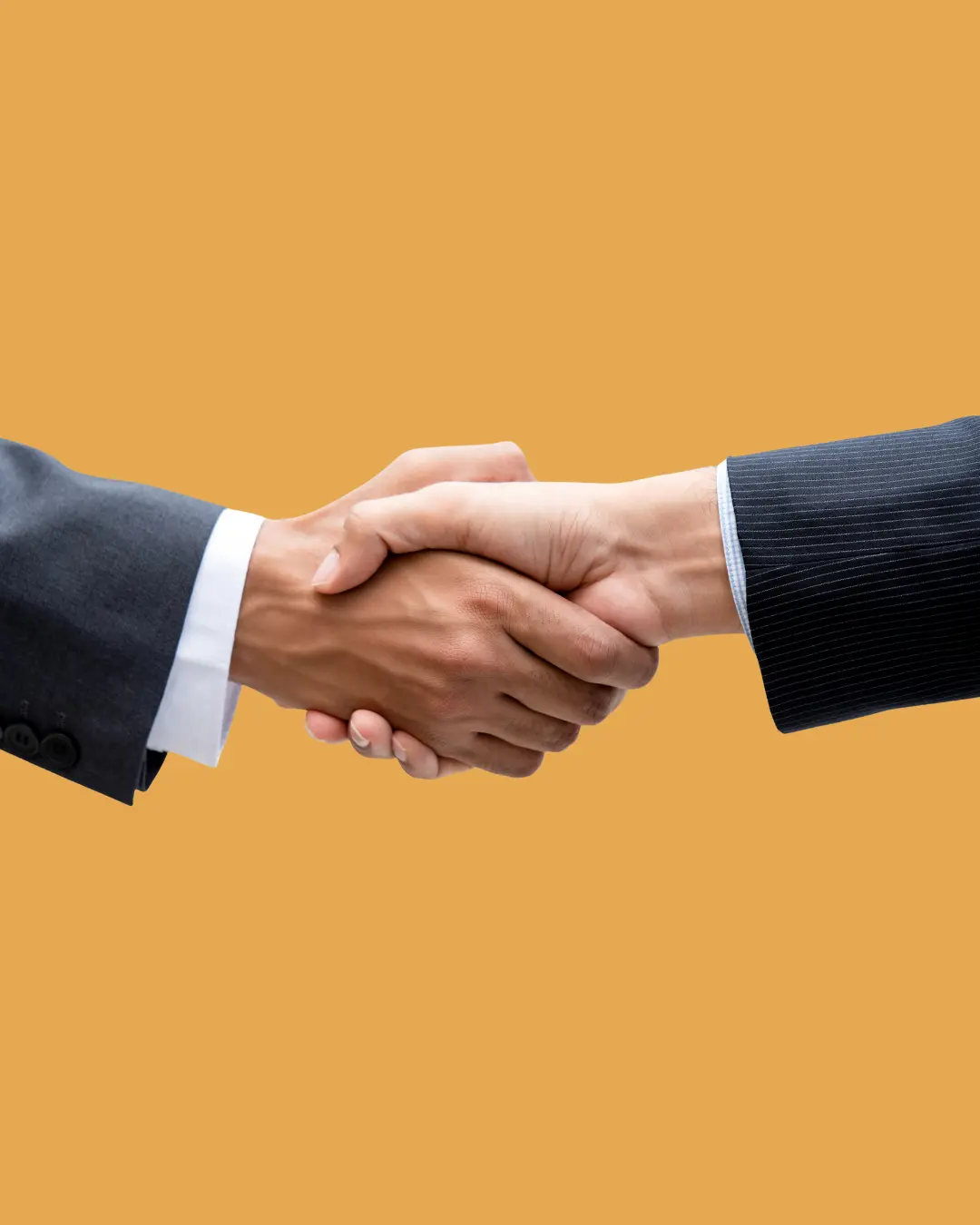 Odoo Expert in Florida