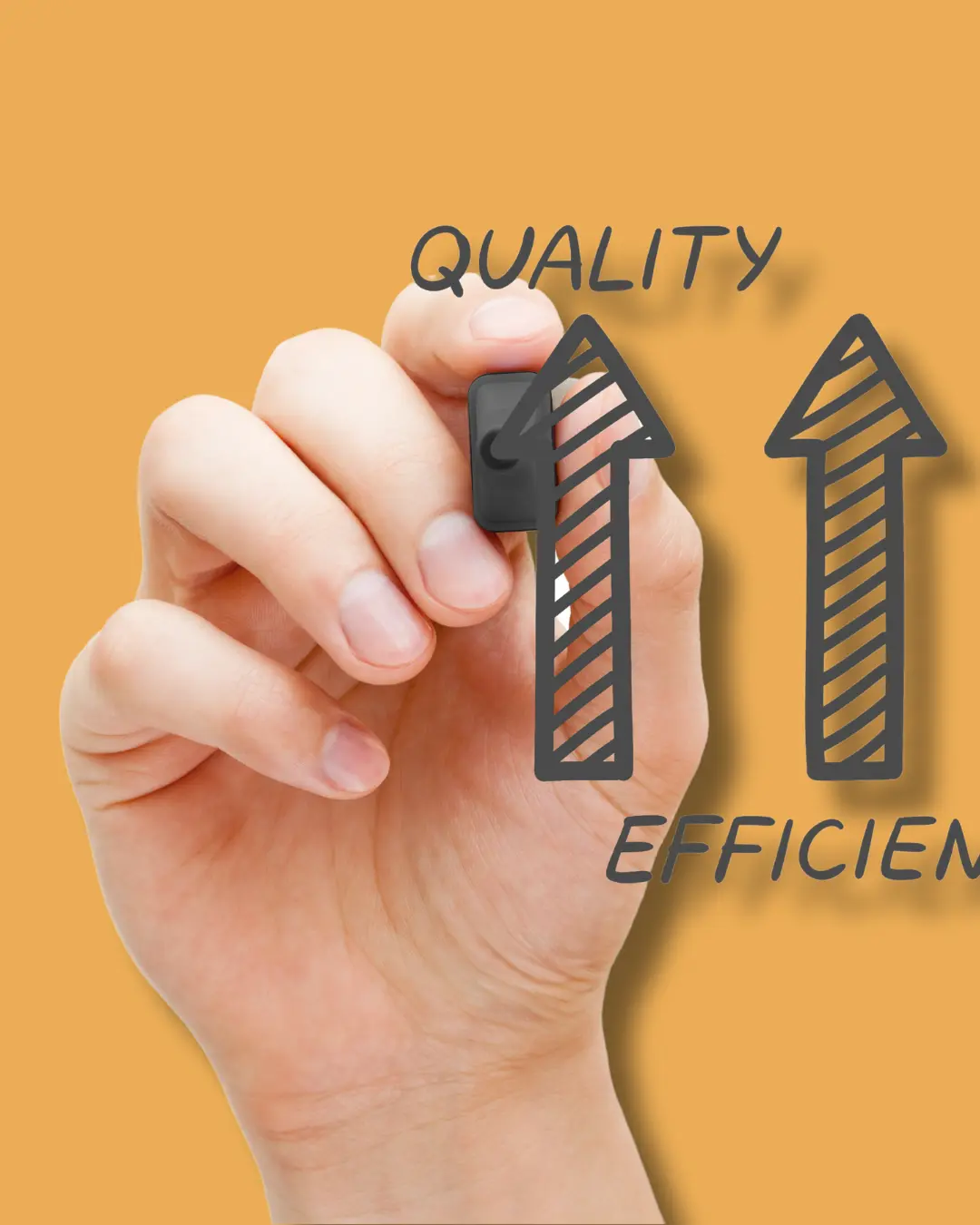 Optimized Processes & Operational Efficiency