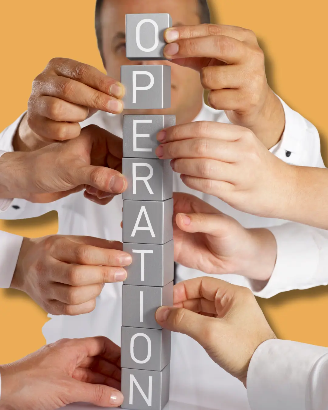 Odoo Implementation in Massachusetts