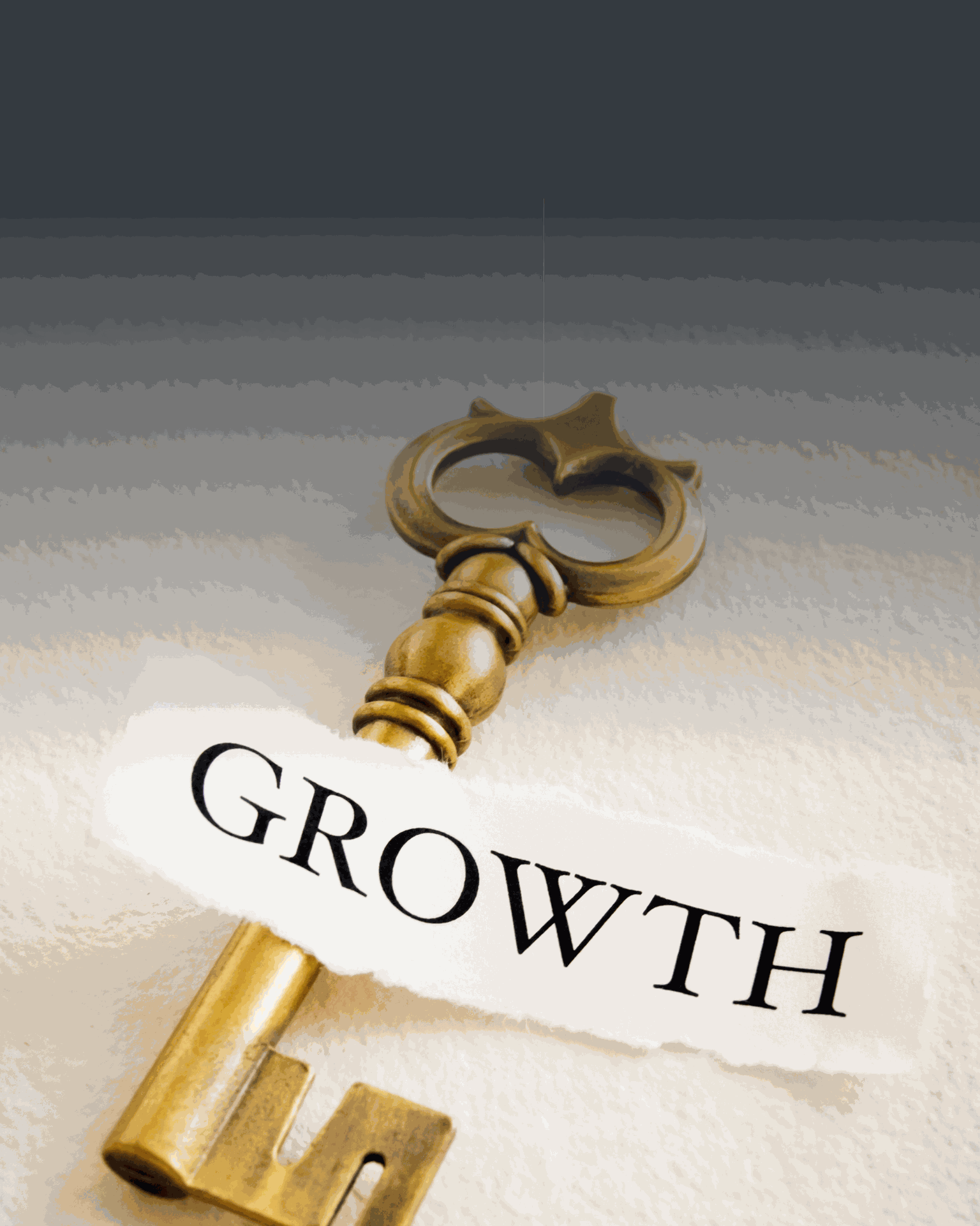 Odoo for Business Growth in Canada